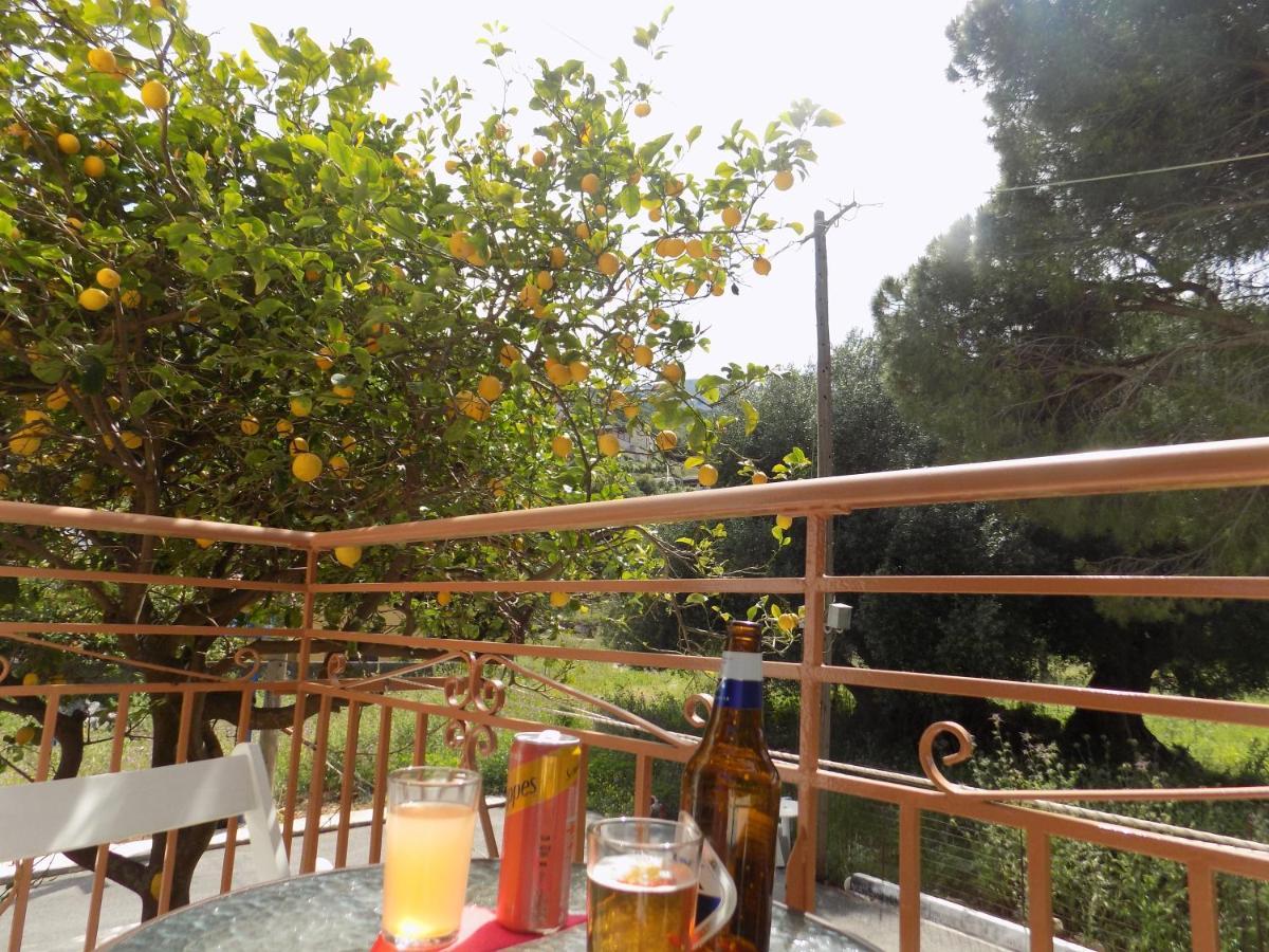 Afrodite Spacious Apartments! Agia Efimia Buitenkant foto